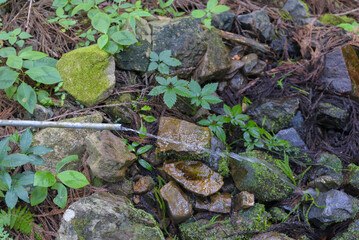 大多摩ウォーキングトレイルの水場