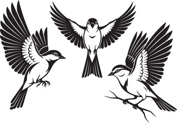 Obraz premium Three Stylized Birds in Motion and Rest – Black and White Illustration