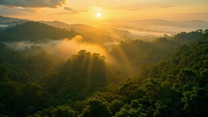 Witness a breathtaking sunrise over a misty rainforest canopy from an aerial perspective, highlighting the importance of nature conservation, perfect for 4k footage. - Powered by Adobe