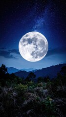 Fototapeta premium Full moon over a dark forest at night