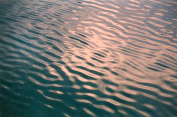view of the ripples formed by the wind on the swamp water