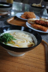 Japanese udon noodle soup with green onions and egg