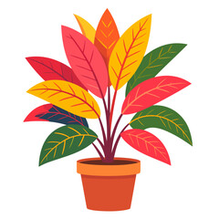 Potted houseplant with vibrant red, orange, yellow, and green leaves in a terracotta pot.