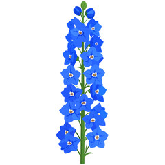 A tall stalk of blooming blue Delphinium flowers with a green stem and buds.