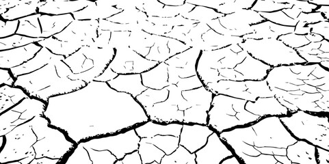 A stark, high-contrast, black and white close-up of parched, cracked earth, illustrating severe drought and environmental degradation. The cracks extend towards a vanishing point
