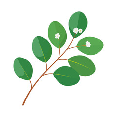 Obraz premium Stylized Eucalyptus branch with round green leaves and delicate white blossoms.