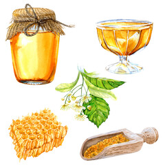 A set of watercolor elements on the theme of honey; honeycombs, honey in jar and in a cream bowl, pollen and lime tree inflorenscence
