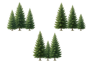 Photorealistic 3d rendering of fir tree clusters, transparent background, ideal for architectural designs and landscape visualization projects