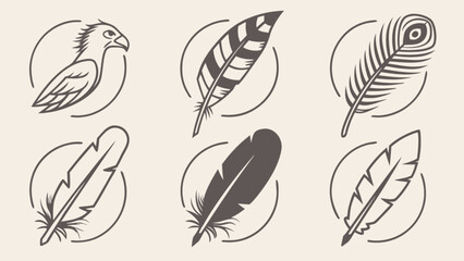 Feather vector illustration set with eagle feather peacock feather and other bird feathers collection design