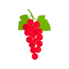 Vibrant redcurrant cluster with green leaves, a flat vector illustration of ripe berries on a sprig.