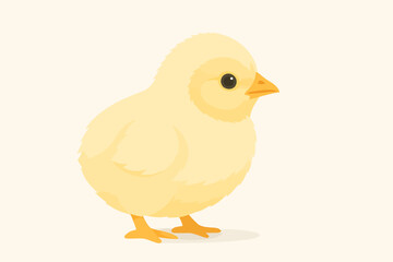 The illustration features a cute yellow baby chick standing on a light background. The chick has fluffy feathers, a small orange beak, and tiny orange feet. Its big round eye gives it an adorable and 