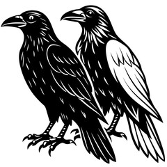 Obraz premium Two majestic ravens standing together in a striking silhouette
