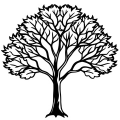 Fototapeta premium Intricate black tree silhouette with detailed branching and leafy canopy