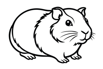 A monochromatic guinea pig with distinct fur patterns and small claws is sitting calmly