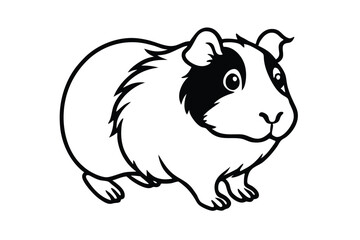 Guinea pig shows its adorable face with beautiful black and white monochrome contrast