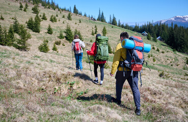 Experienced hikers walking on a mountain trail. Group of friends equipped with hiking gear climbing...