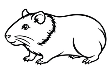 A black and white illustration shows an adorable guinea pig portrait with beautiful fur