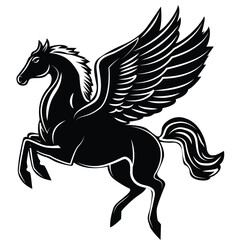 black and white horse