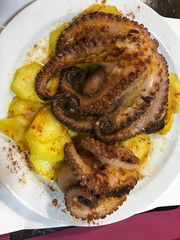 octopus cooked on the grill