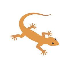 Naklejka premium Simple orange gecko illustration in a flat design style, with a long curved tail and splayed toes.