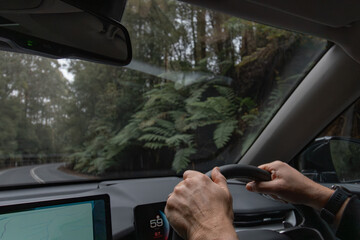 Male hands driving in lush rainforest in Otways on road trip