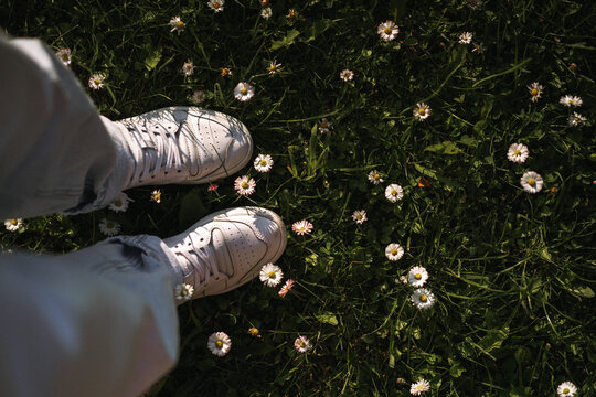 Feet in white sneakers standing on a sunny daisy field