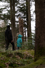 Exploring the tranquil forest together, a parent and child connect while wandering among majestic...