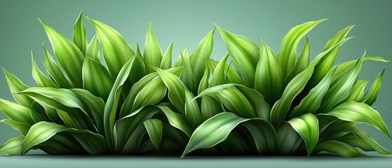 Obraz premium Lush green foliage (3)