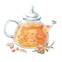 Teapot with sea buckthorn tea, sea buckthorn branch and ginger. Isolated watercolor illustration in realistic style for design of beverage packaging, teas, tea menu, culinary blogs.