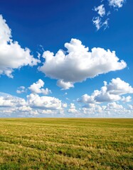 Obraz premium Vast field under a vibrant blue sky