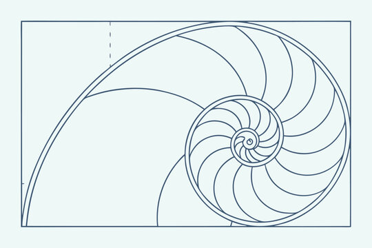 Nautilus shell spiral diagram with golden ratio lines