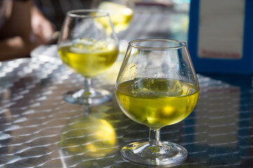 glasses of pomace of herbs on the table
