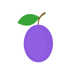 Stylized purple plum illustration with a single green leaf and stem