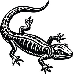 Black stylized lizard with intricate patterns reptile white