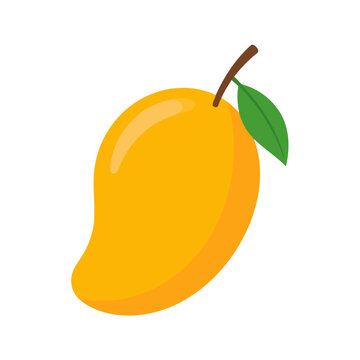 A vibrant yellow mango illustration with a shiny skin, brown stem, and a single green leaf.