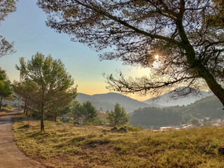 mountain landscape with native vegetation on a sunny day