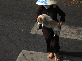 Vietnamese Woman in Traditional Clothing Carries Dog Across Street