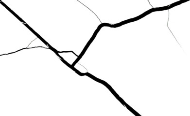 Stylized Graphic Representation Of A Network Of Thin Branching Lines On A Transparent Background Transparent Background