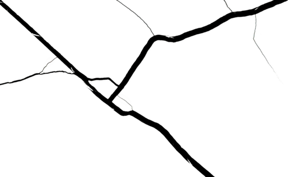 Stylized Graphic Representation Of A Network Of Thin Branching Lines On A Transparent Background Transparent Background