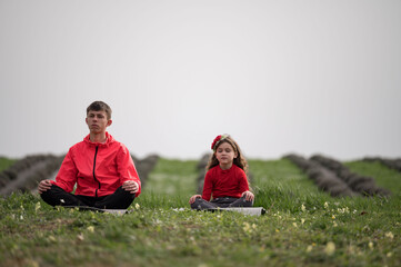 Meditation practice in a serene green field on a peaceful day fostering connection between a man...
