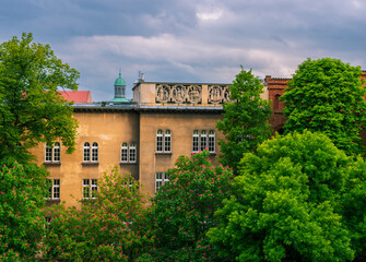  Facade of a vintage yellow tenement building partially obscured by lush green trees. Quiet residential area with historic charm and summer foliage.