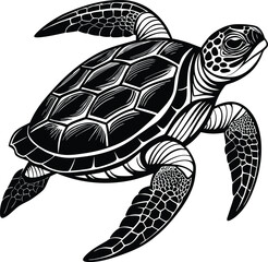 Fototapeta premium Black and white sea turtle swimming with detailed shell and flippers ocean marine