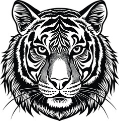 Obraz premium Fierce tiger face detailed black and white illustration feline animal