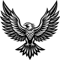 Obraz premium eagle with wings