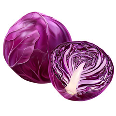 Fototapeta premium One whole and one sliced red cabbage lie isolated on white or transparent png