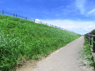 土手に続く道と青空