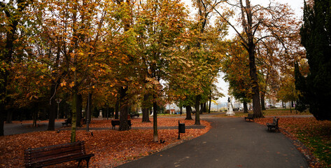 Autumn scene in Kalemegdan Park, Belgrade, with fallen leaves and a bench in close up. Concept of European fall tourism, peaceful walks, and enjoying seasonal beauty in historic city parks