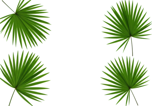 Lush vibrant green tropical palm leaves with intricate veining, isolated against a seamless transparent background with ample copy space, a tight close-up with macro detail and high-key lighting, a