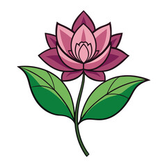 Fototapeta premium Beautiful white lotus or water lily flower with yellow pollen blooming isolated on white background included clipping path.