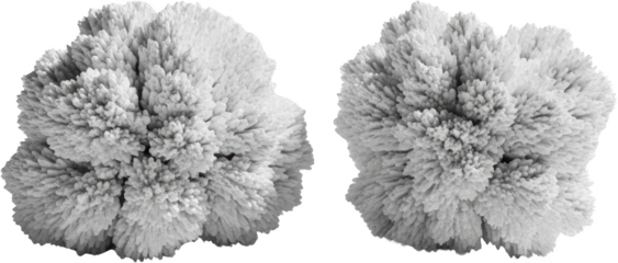 Two Detailed Crystal Structures White Crystalline Formations Isolated Transparent Background Transparent Background
